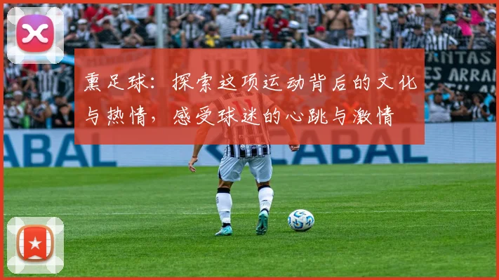 熏足球：探索这项运动背后的文化与热情，感受球迷的心跳与激情