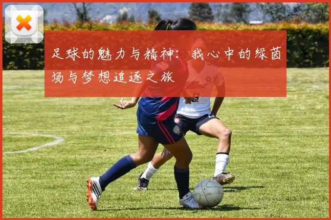 足球的魅力与精神：我心中的绿茵场与梦想追逐之旅