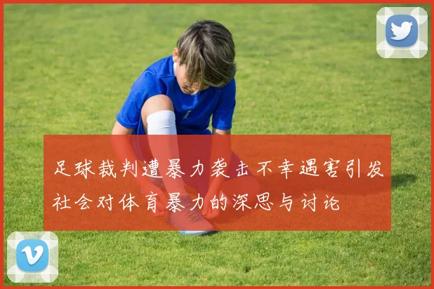 足球裁判遭暴力袭击不幸遇害引发社会对体育暴力的深思与讨论