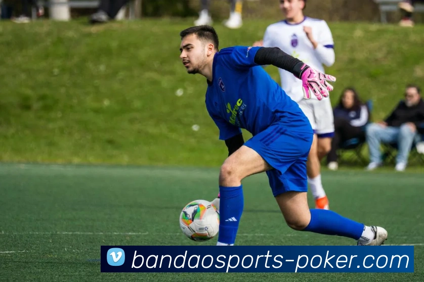 足球直播服务体系