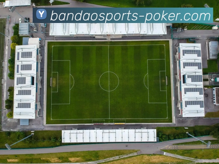 多媒体互动体验